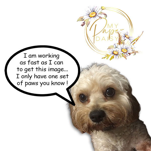 IMAGE COMING SOON I PROMISE